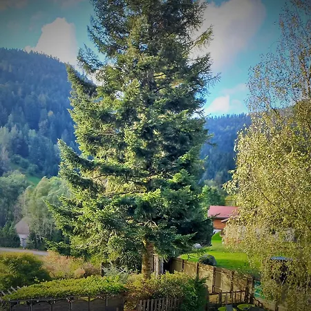 Des Sapins *
