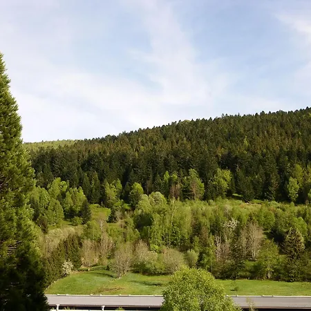 Des Sapins La Bresse