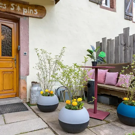 Des Sapins * La Bresse