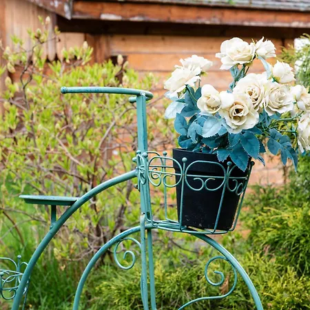 Des Sapins * La Bresse