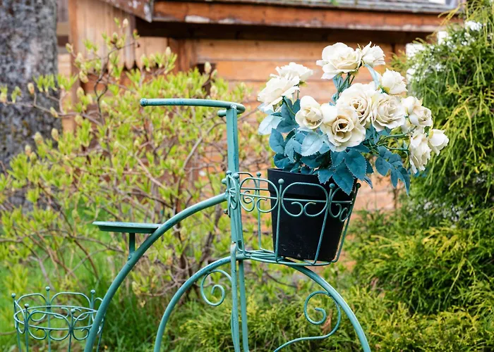 Des Sapins * La Bresse